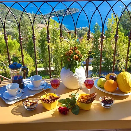 Villa Columba - Luxury Private In Modern